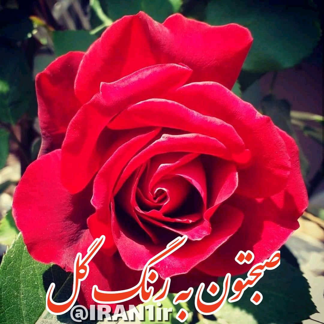 🌺ســلام دوست عزیزم - عکس ویسگون