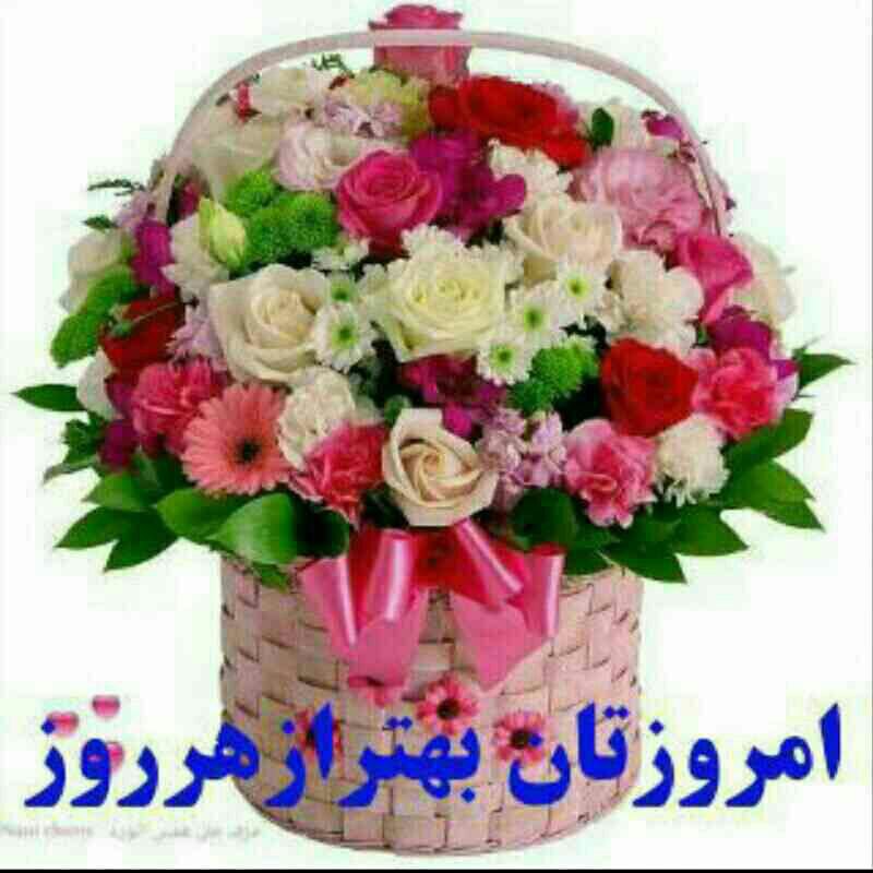 روزتان زیبا - عکس ویسگون