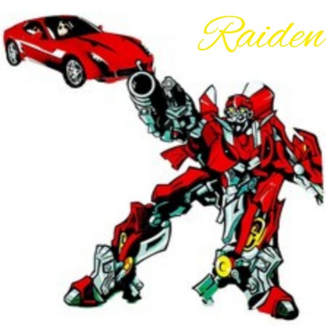 raiden.113