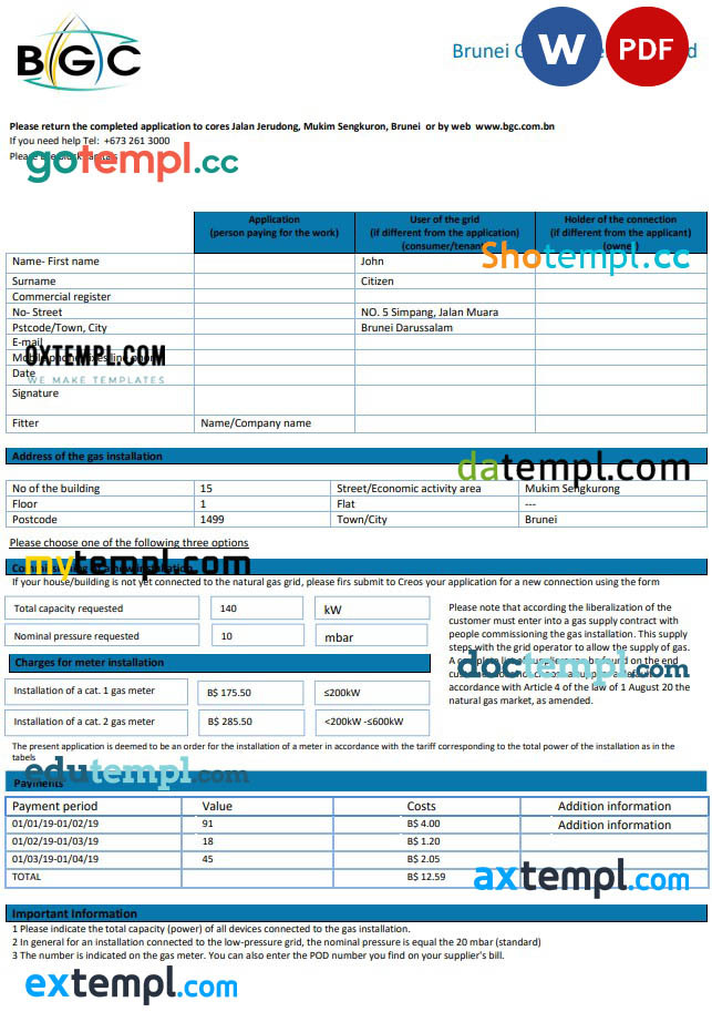 Brunei Gas Carriers gas utility expense template in Word and PDF format عکس ویسگون