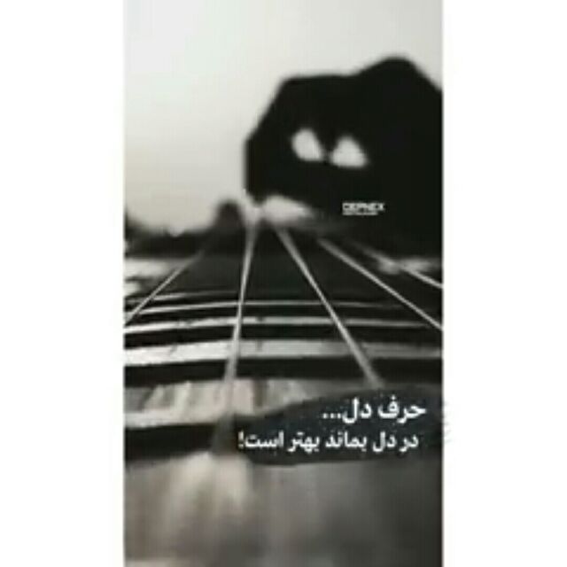 tofan_72