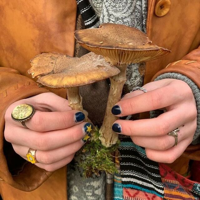 little_mushroomm