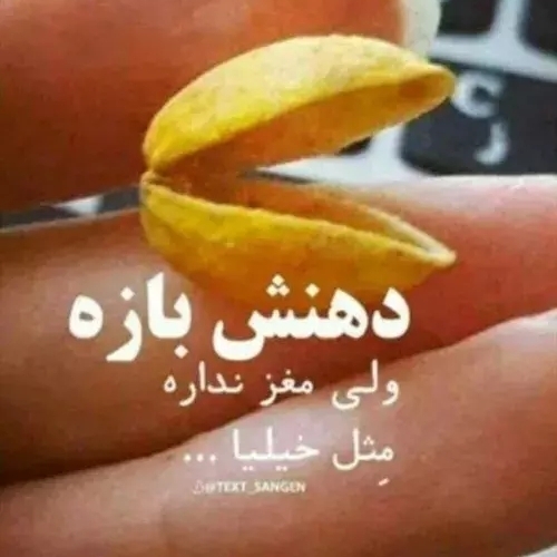 😂🫠 حق عکس ویسگون