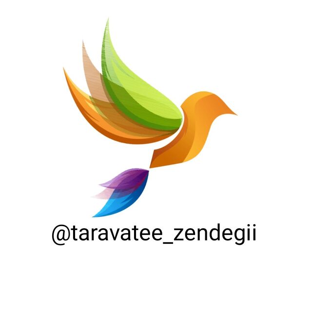 taravatee_zendegii