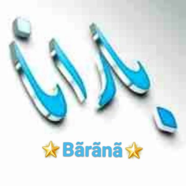 barana_206