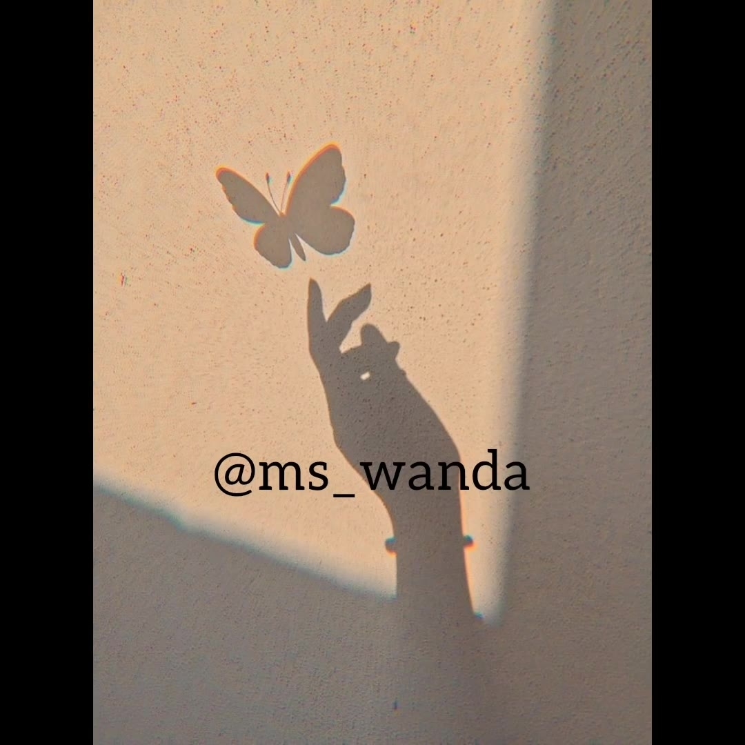 ندونسته دلمو به غریبه سپردم) فیلم