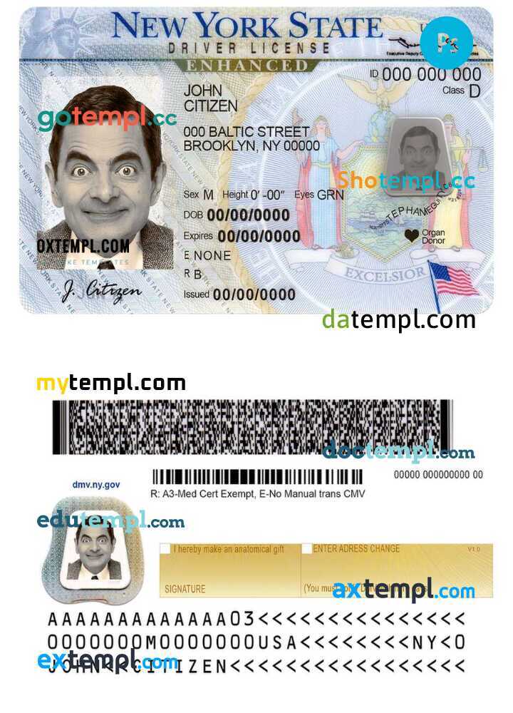 New york drivers license deals template psd free download