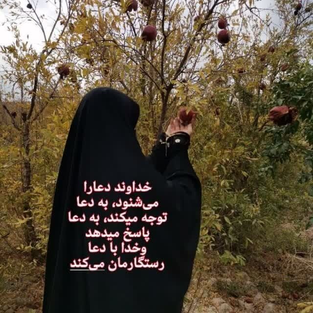 nazaninzainab1387