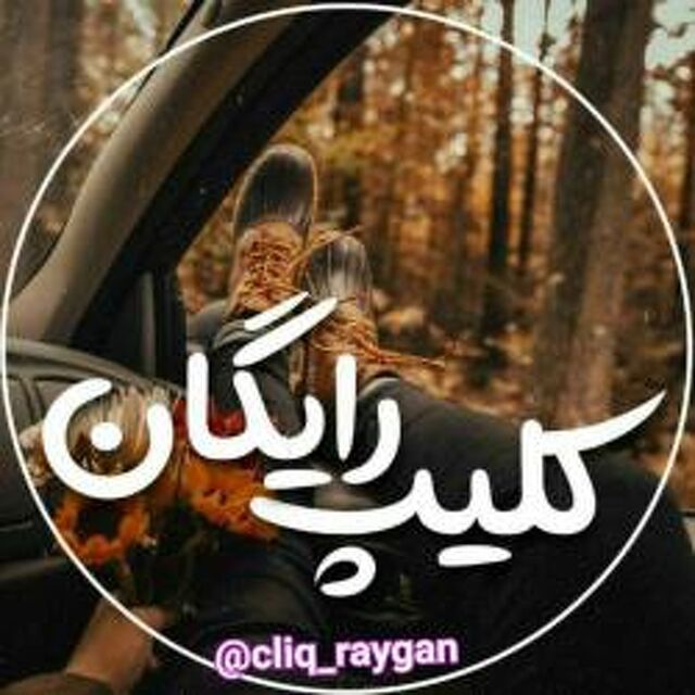 clip_raygan