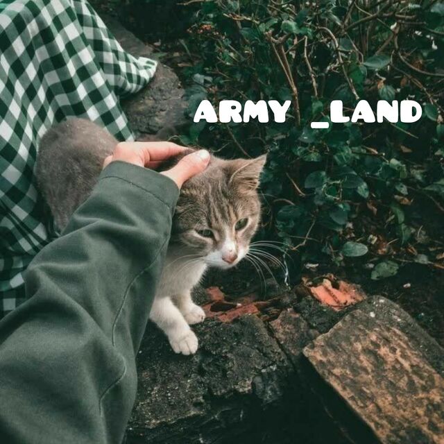 army_land