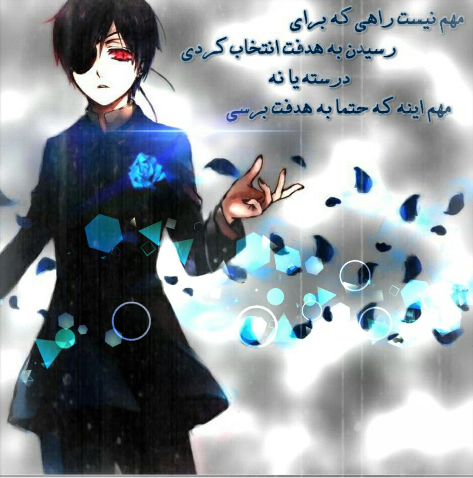 شیل فانتوم هایوانیمه خادم سیاه Blackbutler عکس ویسگون